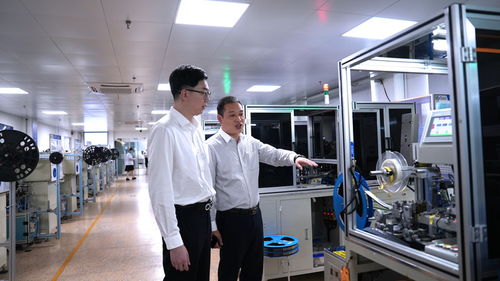 三度服務賦能溫州科技企業 信息技術咨詢的精準助力