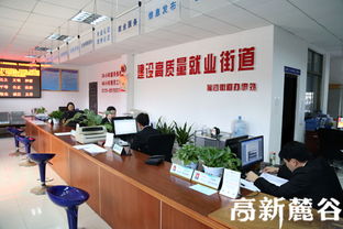 7×24小時(shí)不斷線就業(yè)與信息咨詢服務(wù) 數(shù)字化時(shí)代的全天候職業(yè)助手